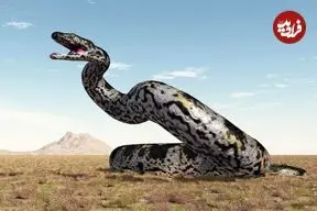 مار غول‌پیکری که بعد از دایناسورها در زمین پادشاهی می‌کرد