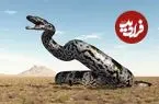 مار غول‌پیکری که بعد از دایناسورها در زمین پادشاهی می‌کرد