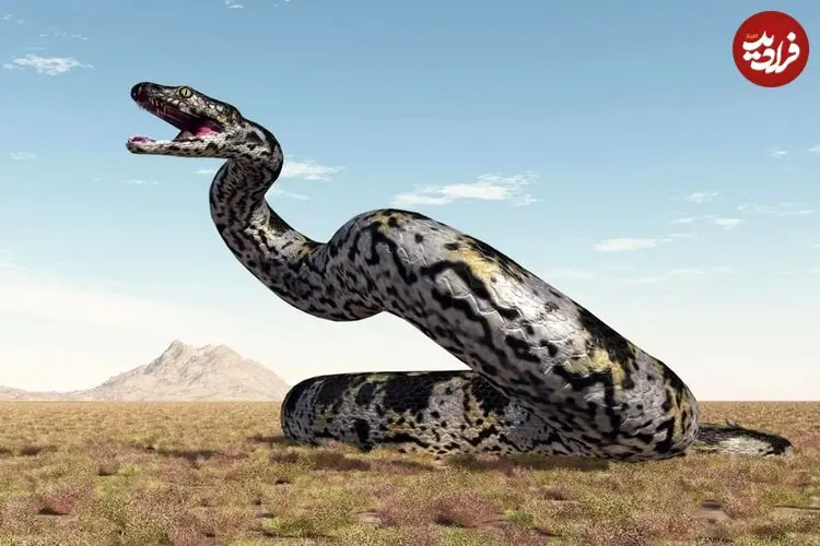مار غول‌پیکری که بعد از دایناسورها در زمین پادشاهی می‌کرد
