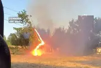 ببینید| سوختن درخت پس از سقوط روی سیم‌های برق