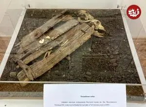 کشف اسکلت «سگ‌های قربانی» که زیر «گهوارۀ کودکان» دفن شده بودند