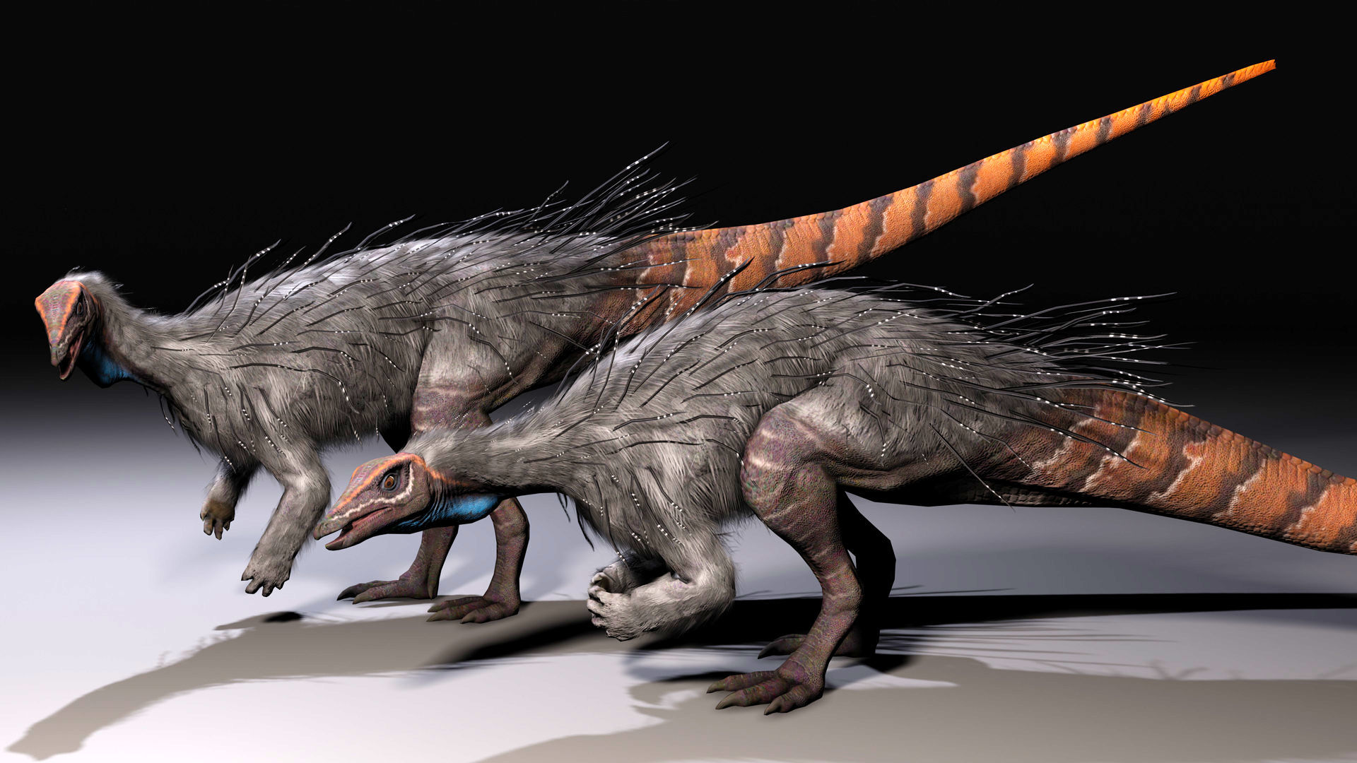 (عکس) کشف یک گونه جدید از دایناسور در آمریکا