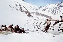 گوشت انسان چه طعمی دارد؟؛ اینفلوئنسری که گوشت زانوی خود را پخت و خورد!