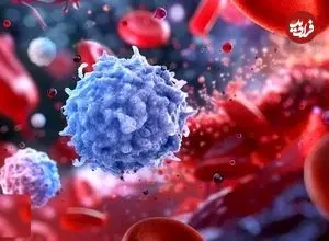 ابداع دانشمندان MIT سیستم ایمنی پیر را دوباره جوان کرد