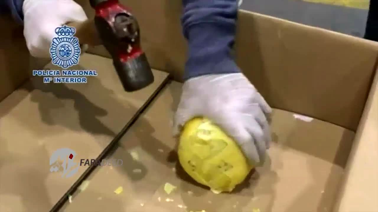 ویدیو/ آناناس هایی پر از کوکائین