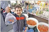 چگونه از ماهی قرمز شب عید مراقبت کنیم؟