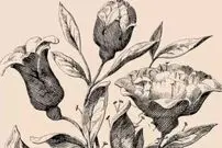۴ معمای جذاب و پربیننده ۲۴ ساعت گذشته