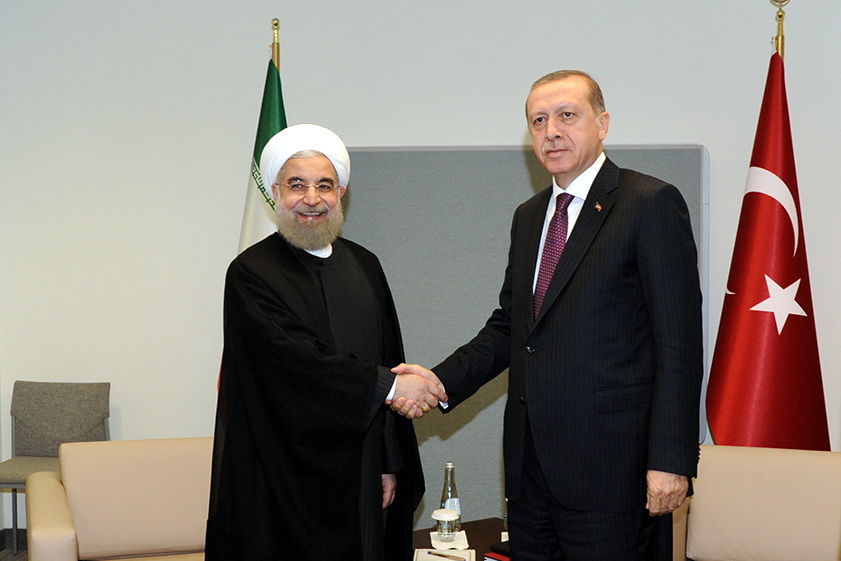 تصاویر/ دیدار روحانی با اردوغان