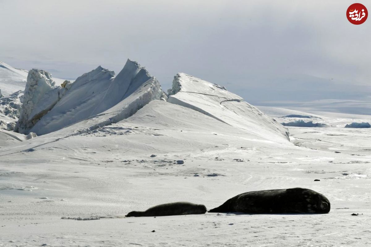 اولین نشت "متان" در قطب جنوب