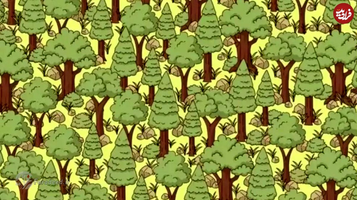 معمای تیزبینی: آیا می‌توانید جوجه تیغی پنهان شده در جنگل را در ۶ ثانیه پیدا کنید؟