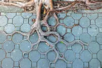 زندگی را چگونه معنا کنیم؟