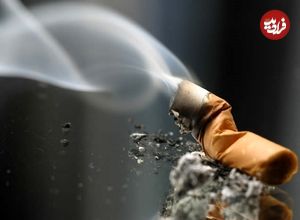 ببینید؛ ویدیویی ترسناک از محتویات سیگار زیر میکروسکوپ!