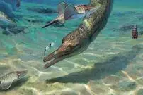 ماجرای اشباح کروکودیل‌های باستانی چیست؟