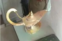 "چراغ جادوییِ" ۴۱ هزار دلاری در هند