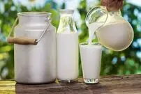راه‌هایی موثر برای دریافت ویتامین D بیشتر