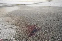 (تصاویر) حالت فوق‌العاده در فرگوسن