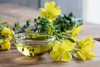 بهترین دارو برای سرفه، جوشانده این گیاه است