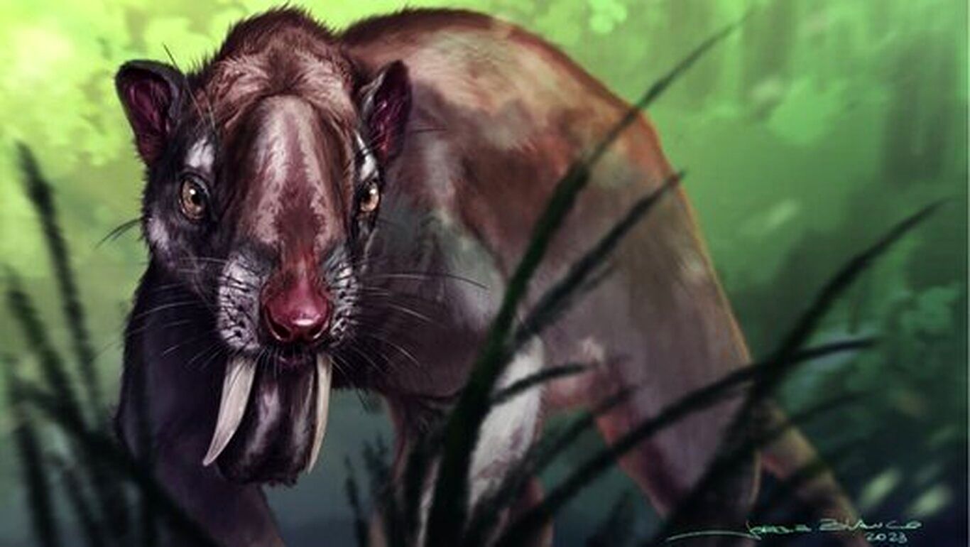 وحشتناک‌ترین شکارچی شب‌های هفت میلیون سال قبل!