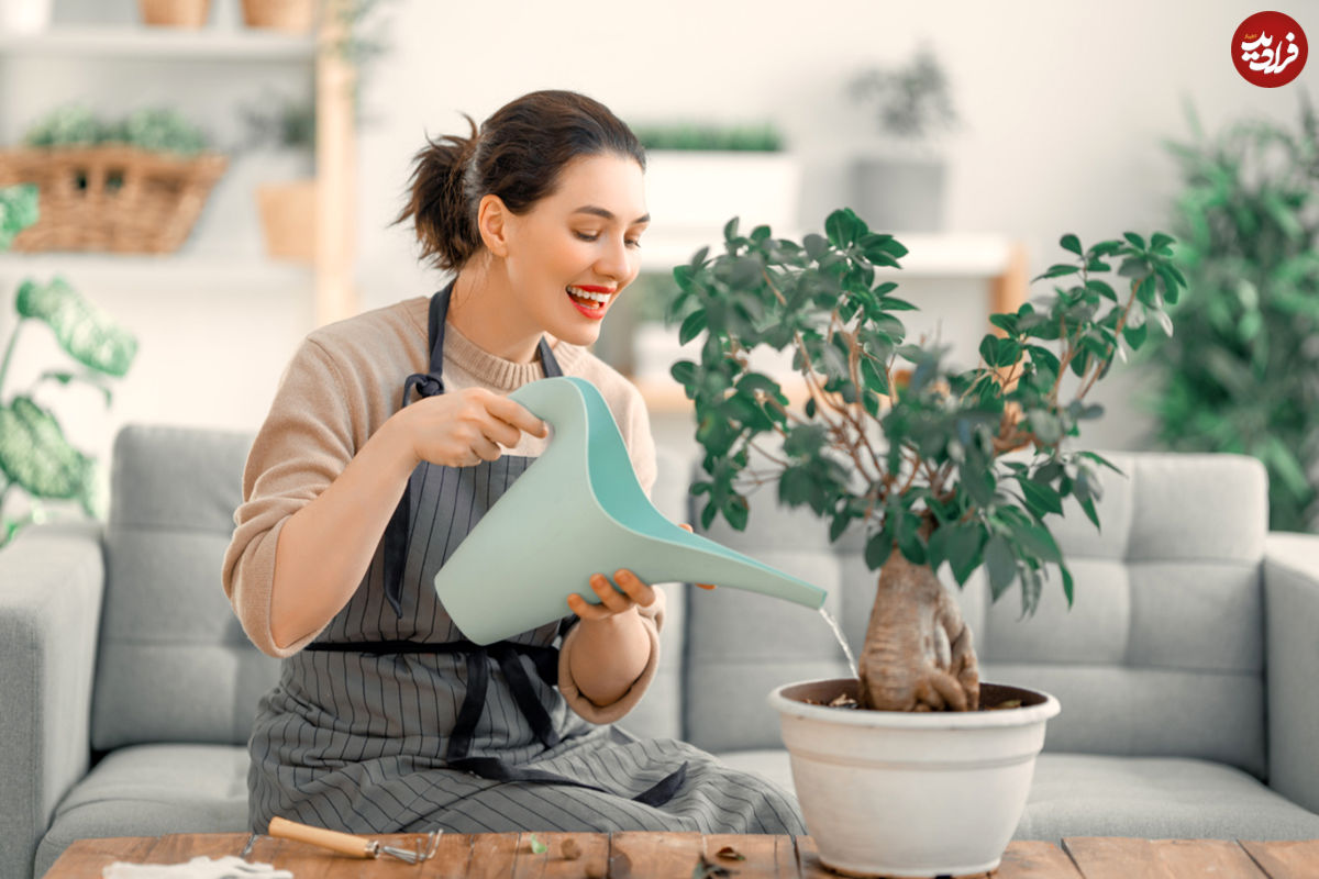 عادتهای جدید را نقطه قوت کنید