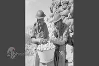 تصاویر عجیب و غریب در ۱۰۰ سال پیش