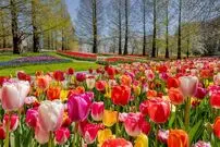 تصاویر/ زیباترین باغ‌های جهان را بشناسید