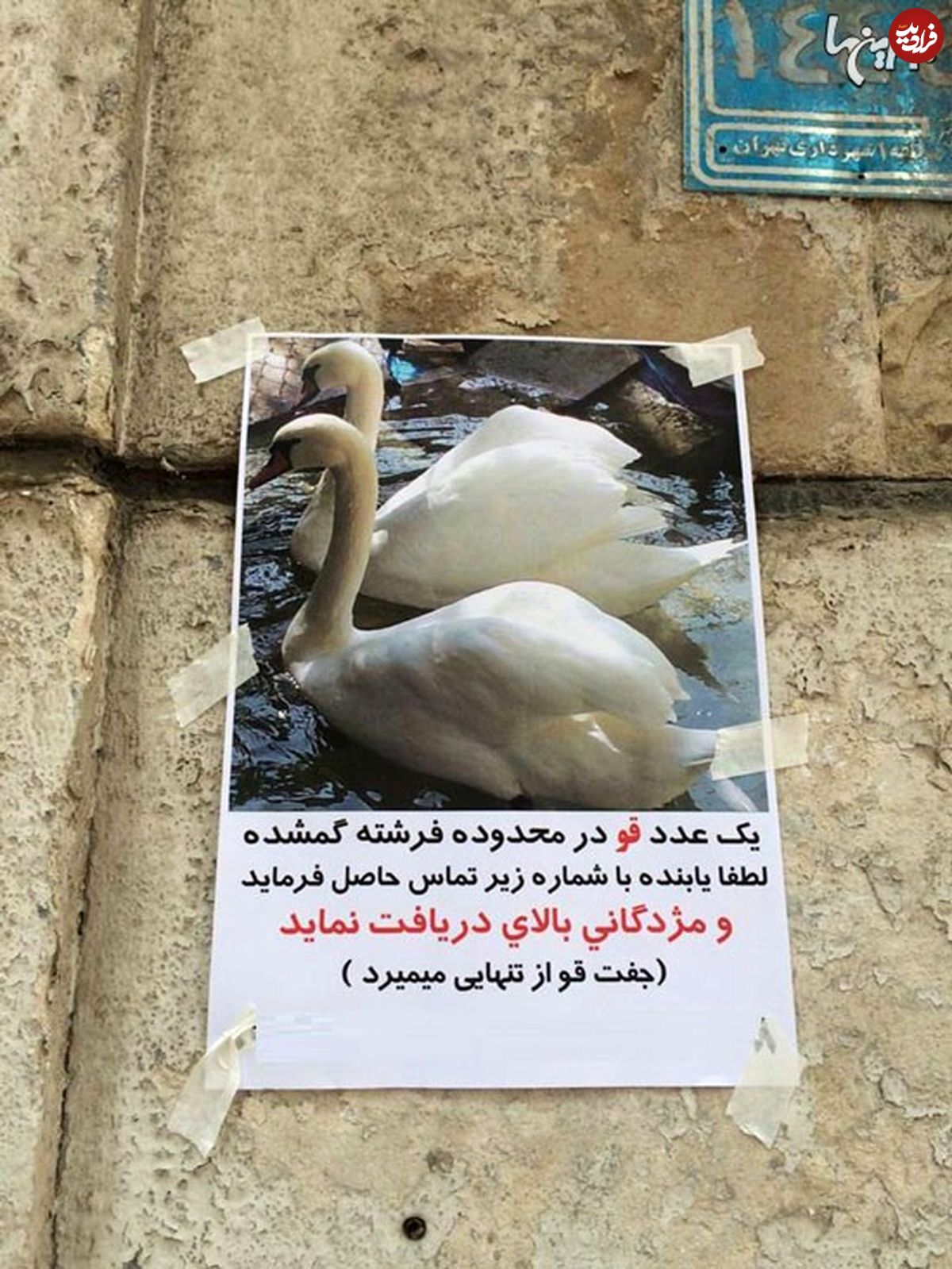 (تصویر) یک گمشده متفاوت در تهران!