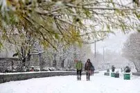 تصویری تلخ از یخ زدن یاکریم در سرمای مشهد