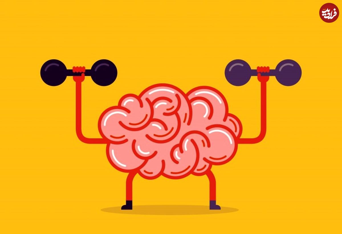 دو عملکرد مغز که با افزایش سن، تقویت می‌شوند
