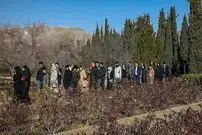 دروازه تهران جدید کجاست؟