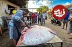 ببینید| برش زدن ماهرانه سفره ماهی غول پیکر 200 کیلوگرمی در سریلانکا