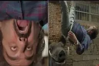 (ویدئو) پشت صحنه سکانس اکشن پایتخت 7