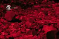 ویدیو/ شکار حیرت‌انگیز مار زنگی توسط فاخته جسور!