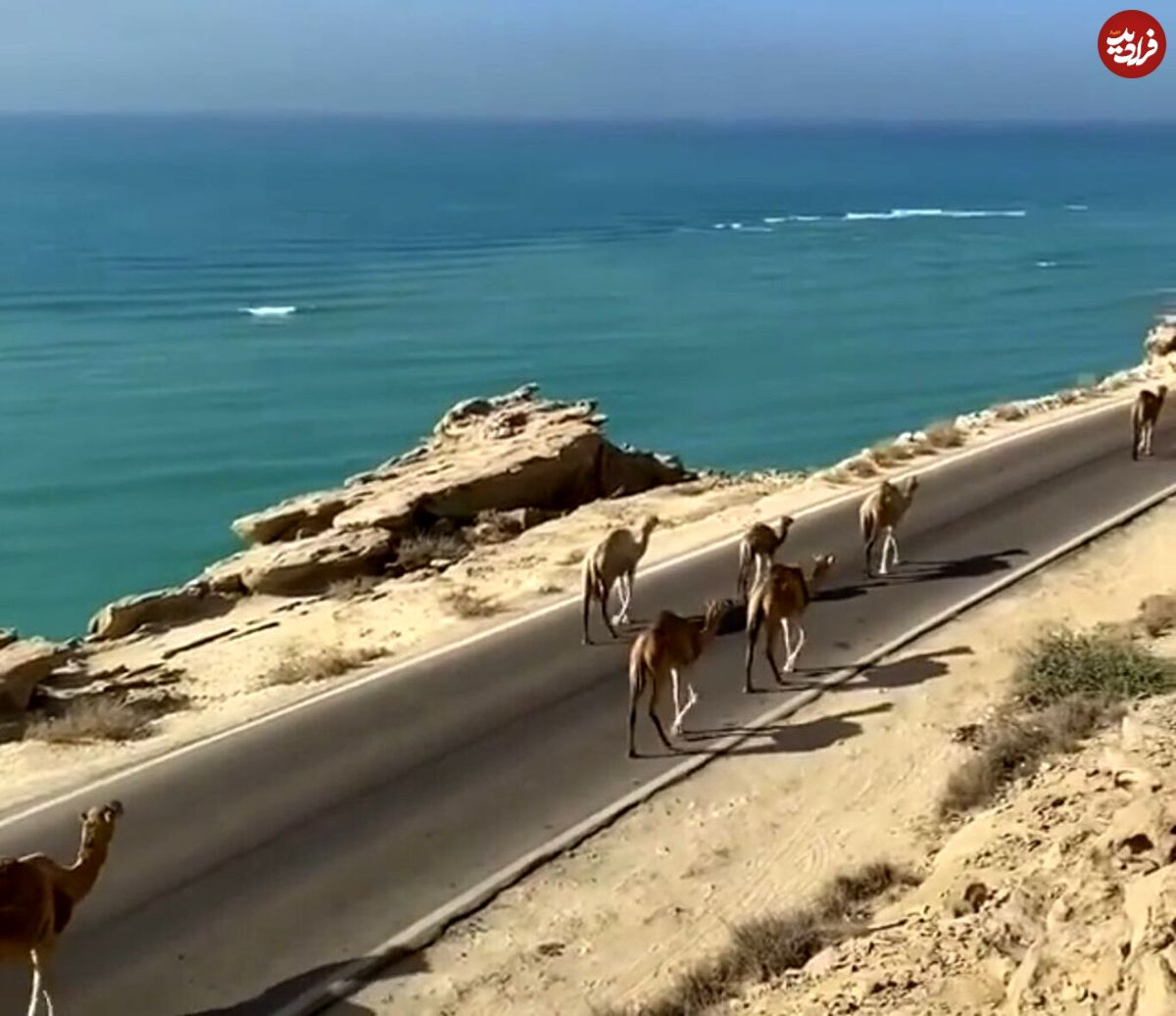 (ویدئو) جاده‌ای شگفت‌انگیز در هرمزگان؛ جایی که کوه‌ به دریا متصل شده‌