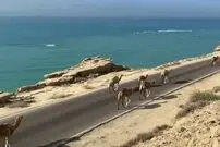 (ویدئو) جاده‌ای شگفت‌انگیز در هرمزگان؛ جایی که کوه‌ به دریا متصل شده‌