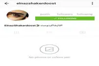 اینستاگرام الناز شاکردوست هم هک شد!