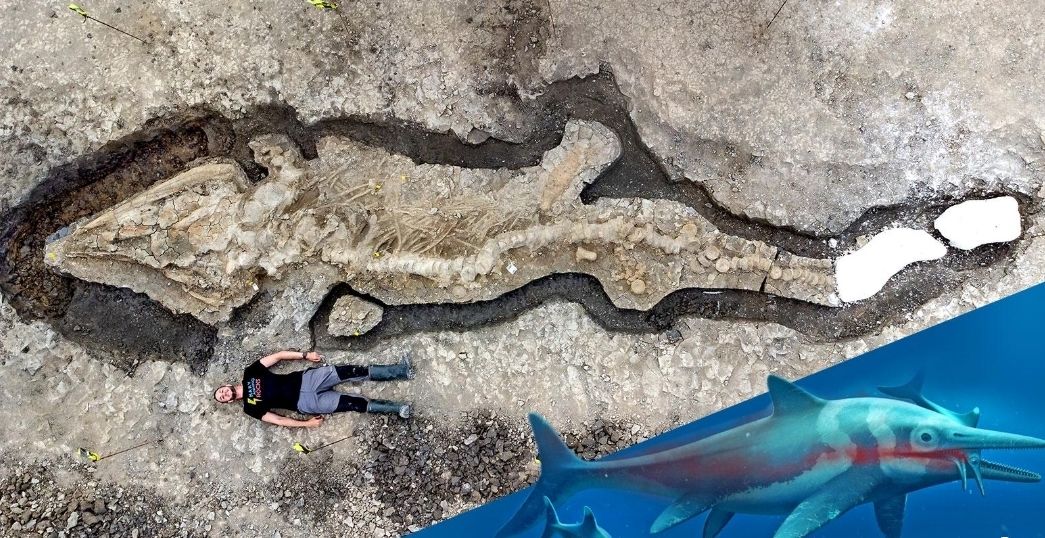 (تصاویر) کشف فسیل یک اژد‌های دریایی عظیم الجثه در انگلستان