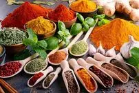 ۴ ادویه مفید و شگفت انگیز برای سیستم ایمنی بدن