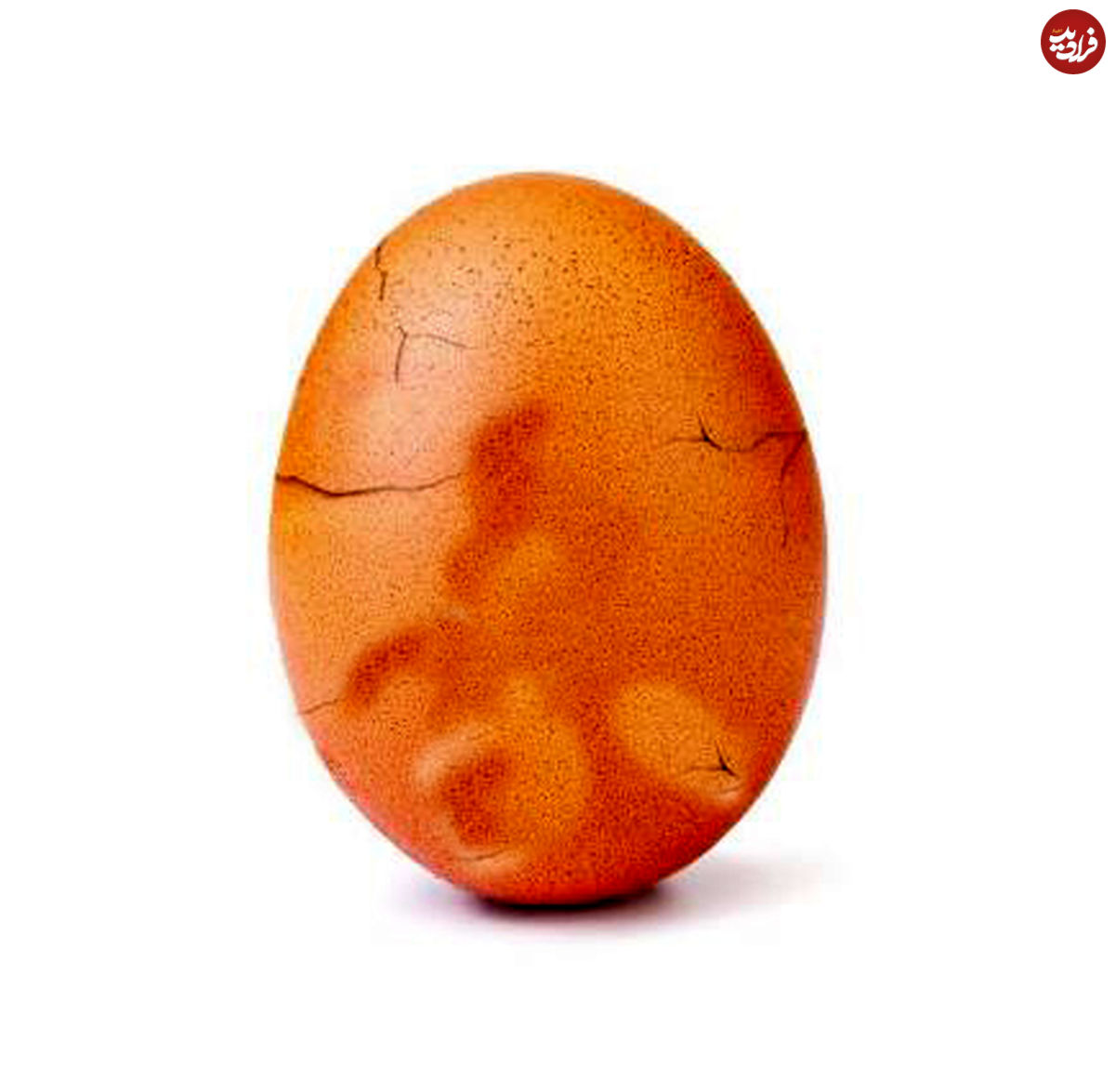 افشای راز تخم مرغ مشهور اینستاگرام