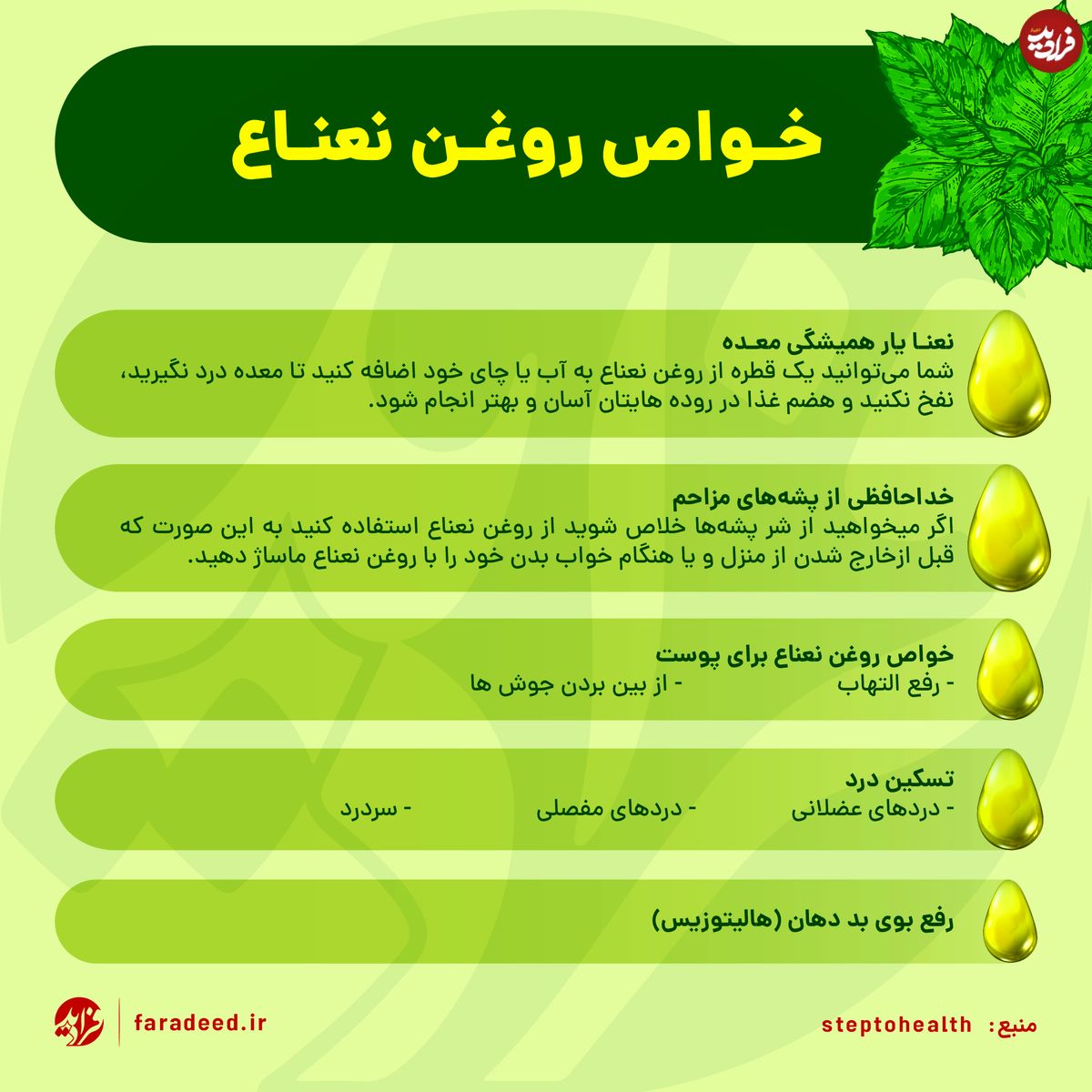 اینفوگرافی/ خواص روغن نعناع