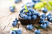 بلوبری؛ سالم‌ترین و مفید‌ترین میوه برای بدن