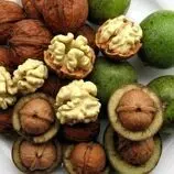 ۵ روش خشک کردن گردو سبز