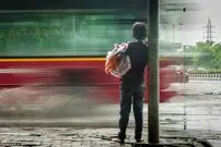 از بوسه مرگ تا گونه نادر یک حیوان