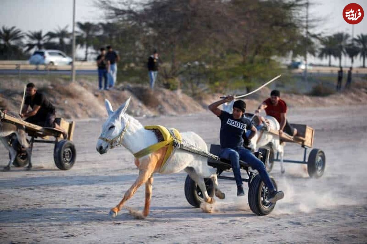 (ویدئو) اعتراض به مسابقه الاغ‌سواری در بحرین