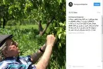 تازه‌ترین تصاویر از محمدرضا شجریان