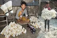 ببینید| مراحل دیدنی تولید انبوه توپ بدمینتون در کارگاهی در پاکستان