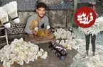 ببینید| مراحل دیدنی تولید انبوه توپ بدمینتون در کارگاهی در پاکستان