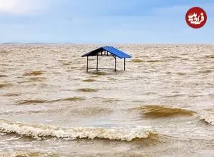 ببینید؛ دریاچه ارومیه جانی دوباره گرفت