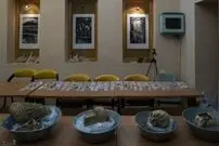 16 اسکلت از آبراهه تخت جمشید بیرون کشیده شد؛ اسکلت‌ها متعلق به مردمان آناتولی و شمال عراق هستند 