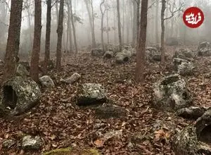 معمای «کوزه‌های باستانی» که در جنگل‌های لائوس پیدا شده‌اند