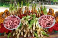 ببینید| غذای روستایی در هند؛ پخت خوراک کاری با گوشت گاو و تارو برای 450 نفر